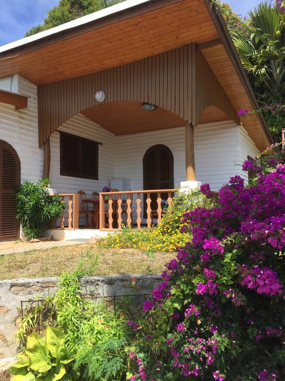 Le Grand Bleu Villas Baie Sainte Anne エクステリア 写真